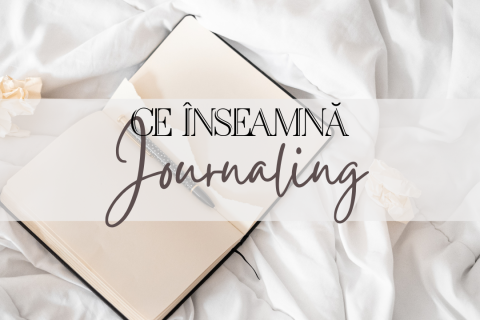 Permalink to:Ce înseamnă Journaling?