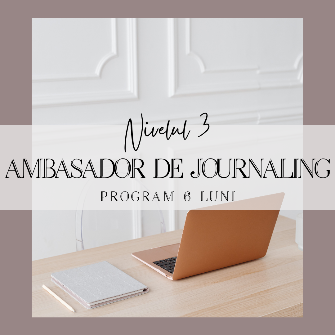 Permalink to:Curs de Ambasador de Journaling
